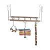 Bird Toy Ladder, Swing, Lifting Ring, Bird Biting Equipment, Peony Parrot Toy 5