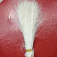 50pcs Natural White Heron Feathers 6-8 inches 4