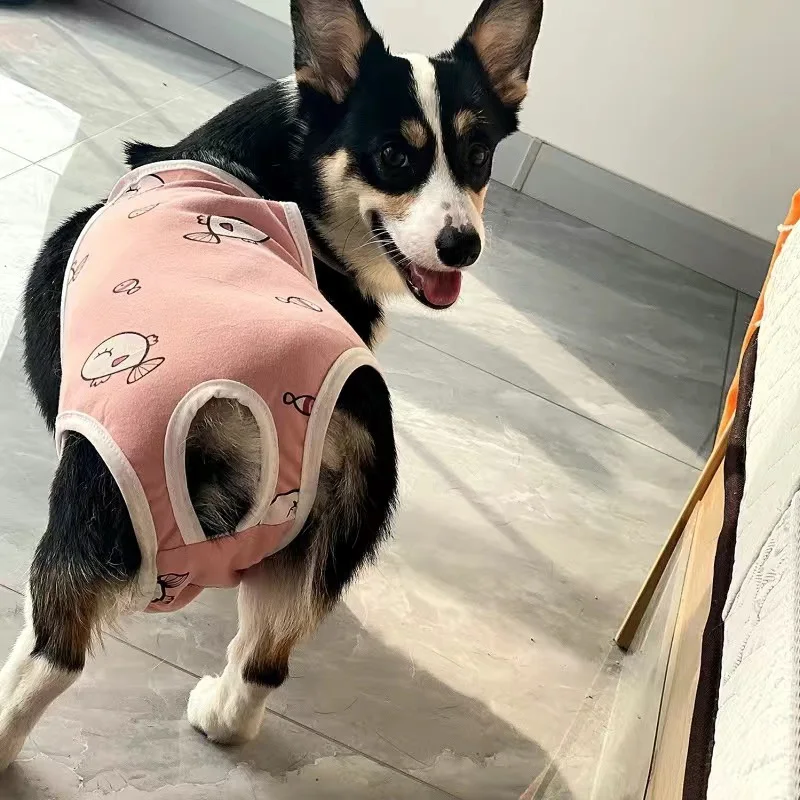 Small Dog Clothing Soft Cotton Pet Shorts with Strap Adjustable Female Dog Underwear Suit for Home Wear pa&ntilde;ales para perros dog diapers pet diapers dog nappies dog shorts