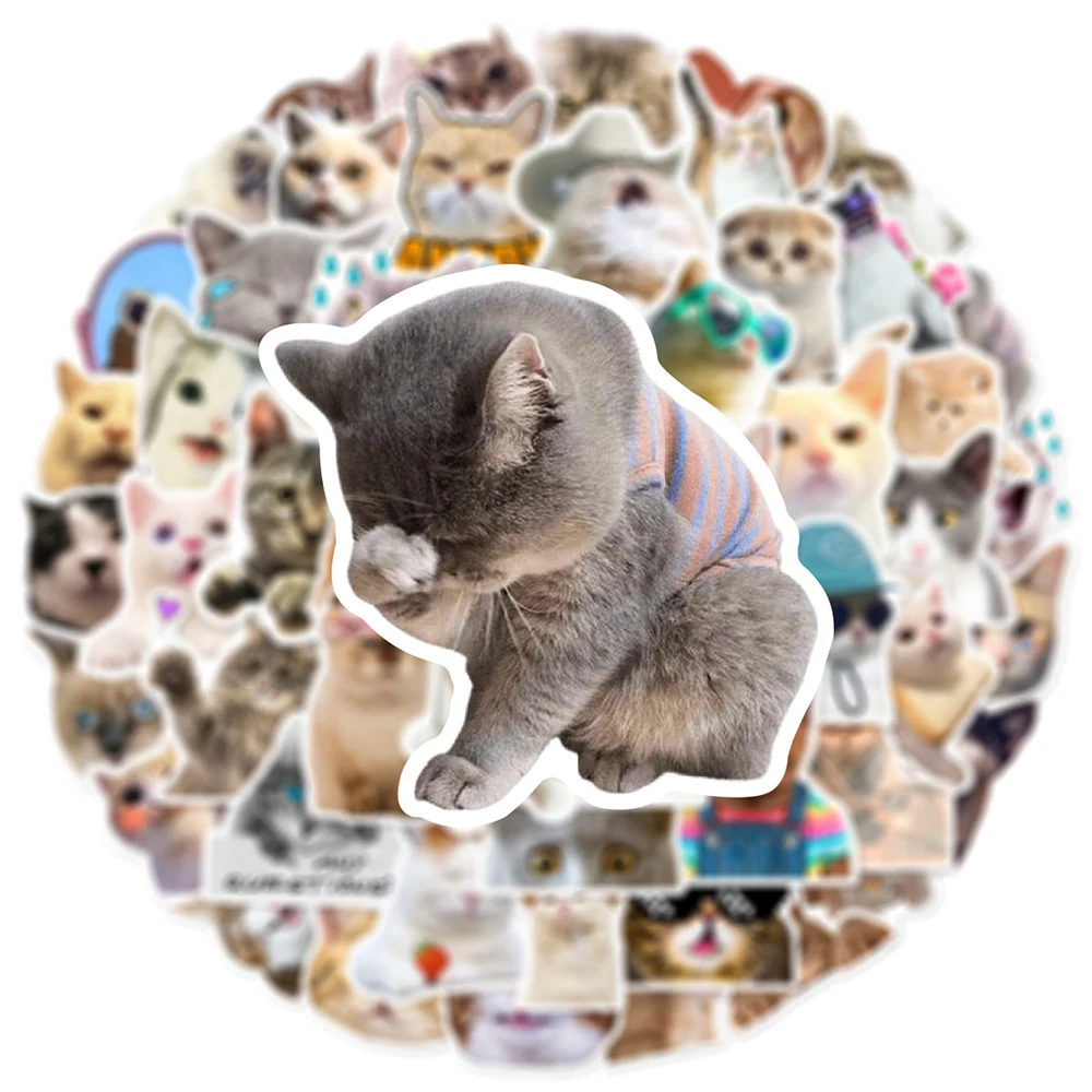 

10/30/50PCS Cute Animal Cat Meme Stickers Funny Decoration Decals DIY Phone Laptop Car Wall Waterproof Kawaii Graffiti Sticker
