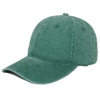 Plain Baseball Cap Women Washed Cotton Dad Hats for Men Blank Adjustable Unstructured Dark Green Purple Black 1