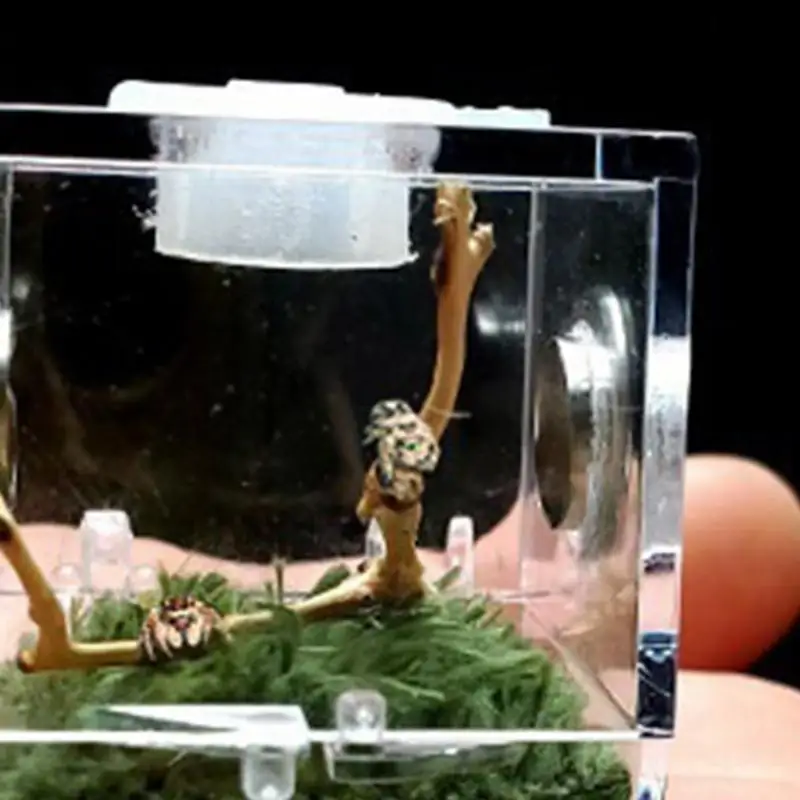 Aquarium Tank Vivarium Box Small Reptiles Breeding Box