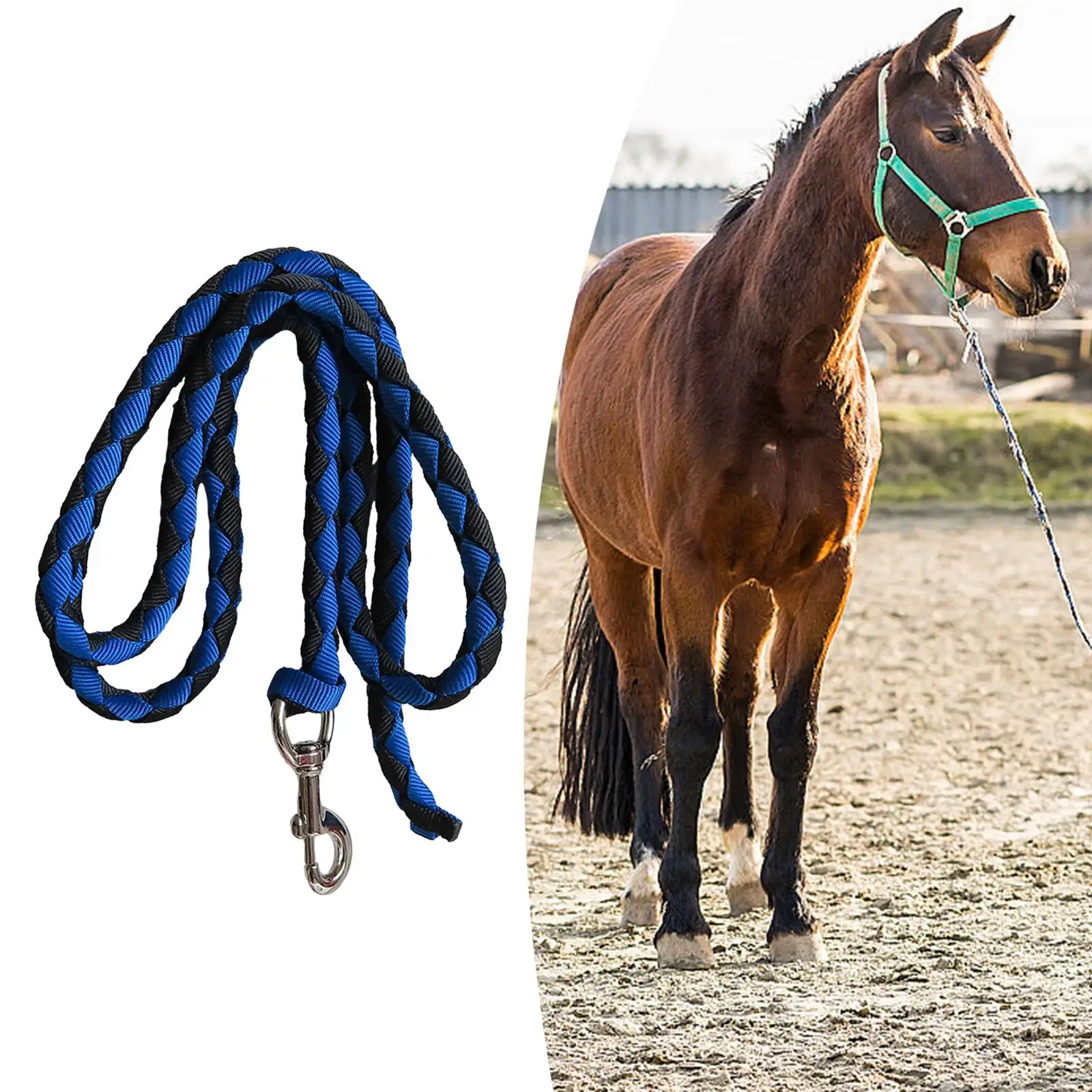 Horse rope with bolt closure Braided horse rope for leading training horses,