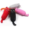 Rustle Sound Catnip Toy Cats Products for Pets Cute Cat Toys for Kitten Teeth Grinding Cat Plush Thumb Pillow Pet Accessories 3