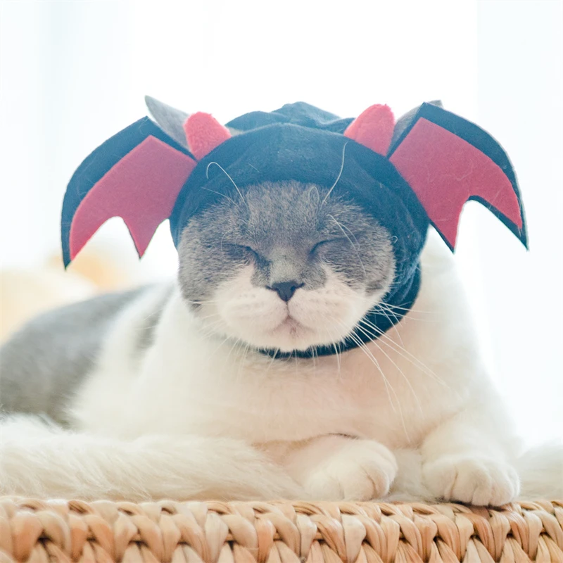bat