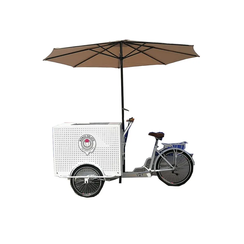 

Pedal Electric Tricycle Fast Mobile Motorcycle Bicycle Refrigerator Ice Cream Cargo Bike Trike for Adult