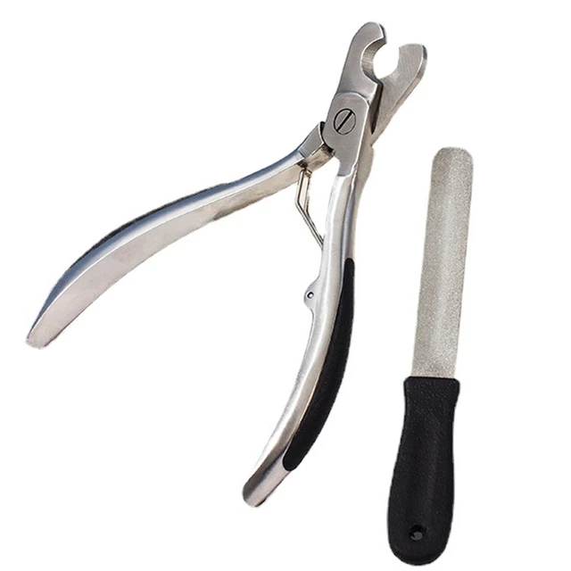 Share more than 147 large dog nail clippers professional ceg.edu.vn