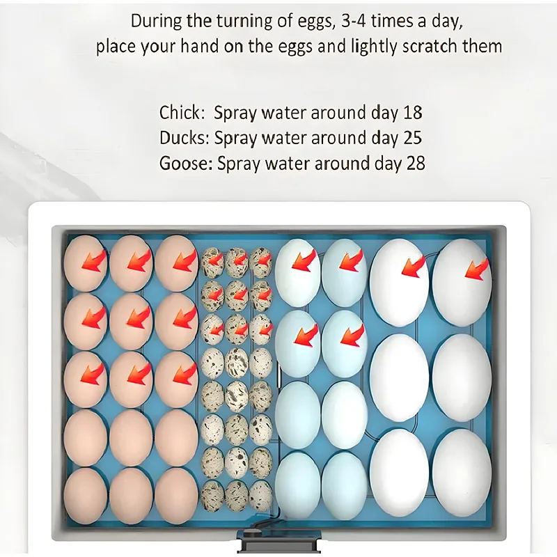 Poultry Egg Incubator 24-hour Thermostatic Biomimetic Waterbed Intelligent