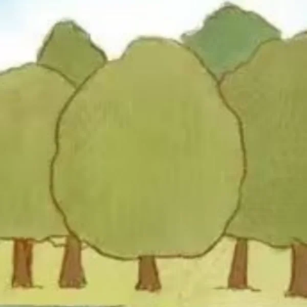 Better And Better Becauty Store