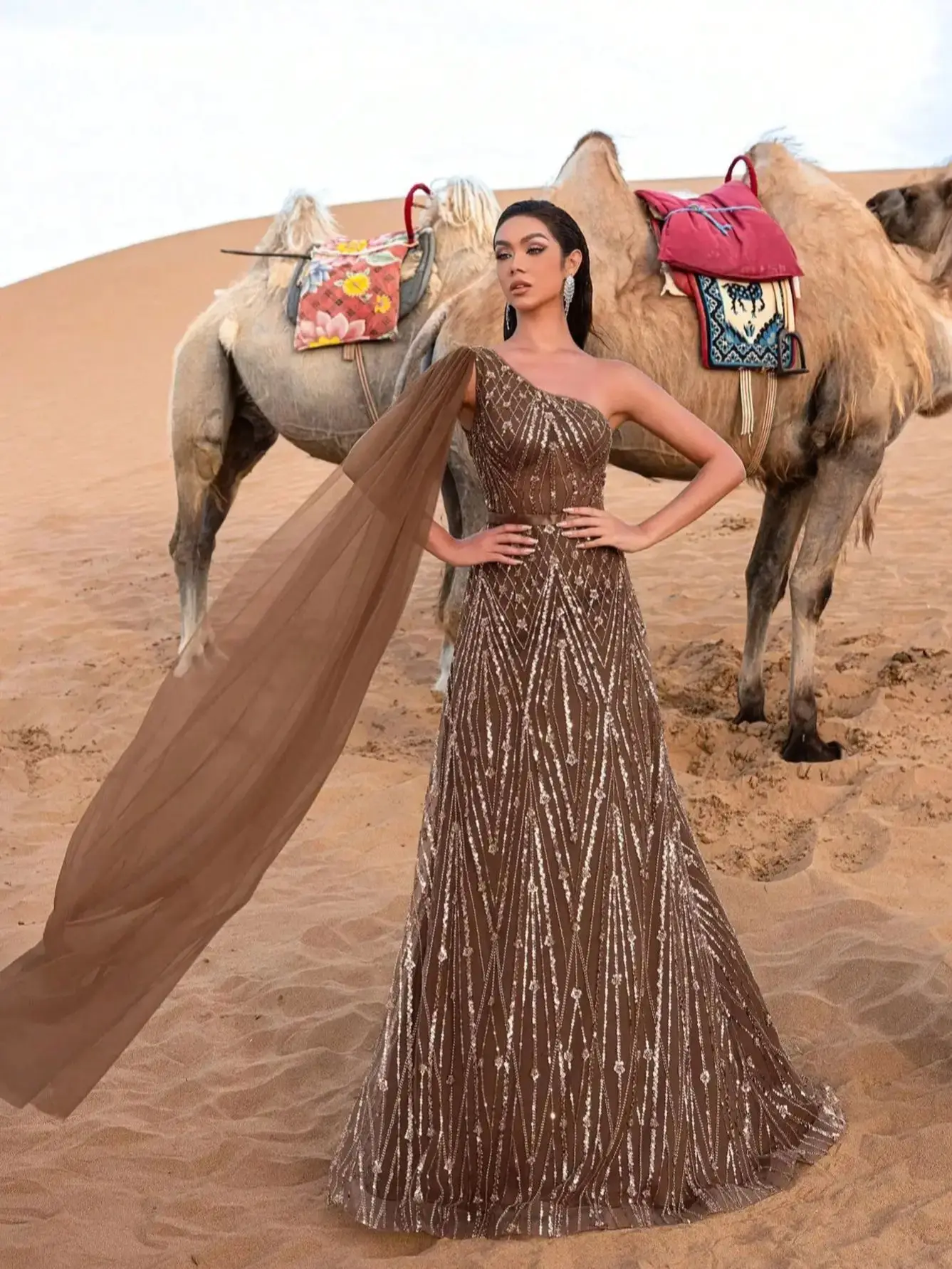 فساتين رسمية رائعة بكتف واحد وأكمام كيب مطرزة بالت...