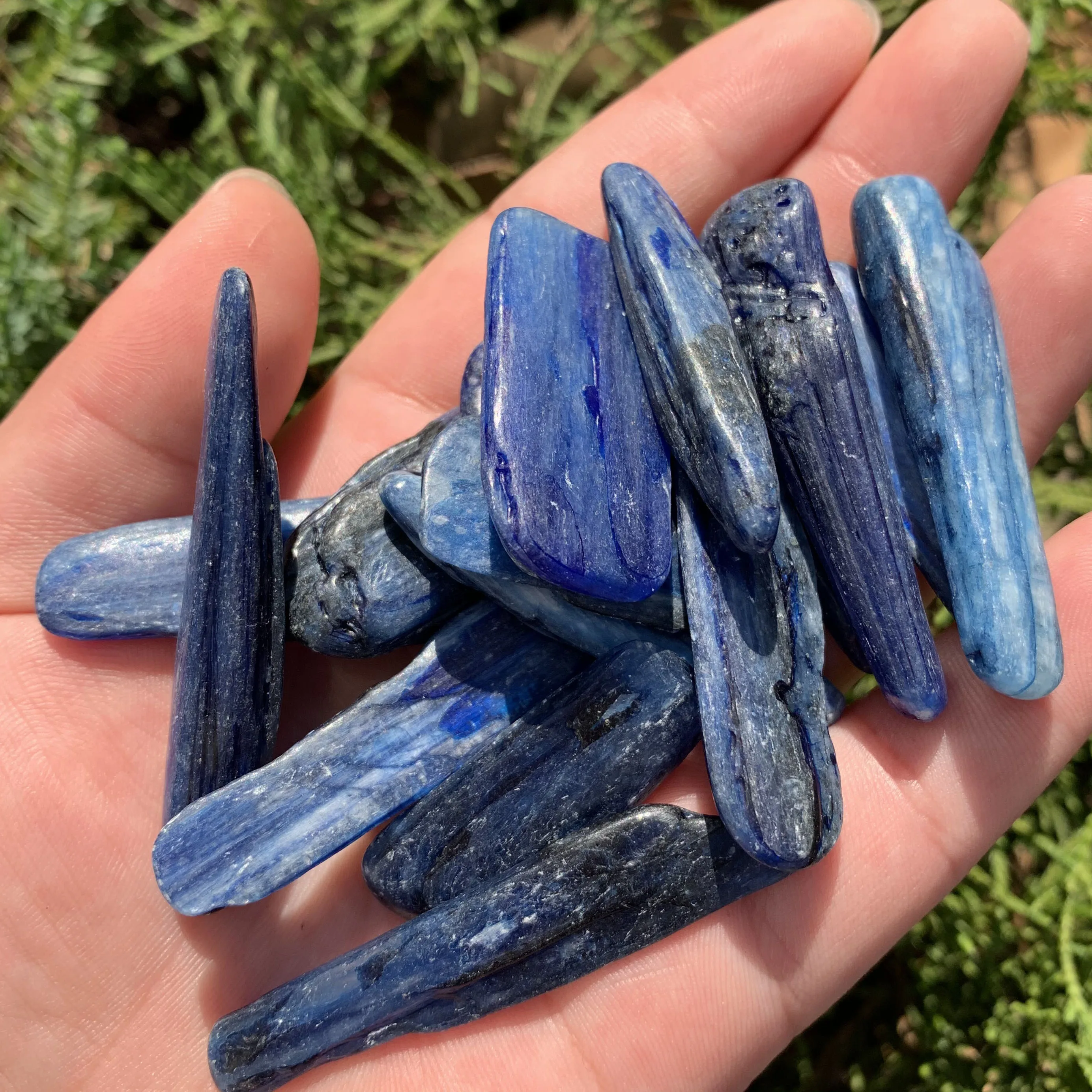 High Quality Natural Kyanite Sticks Quartz Crystal Chips Healing Stone