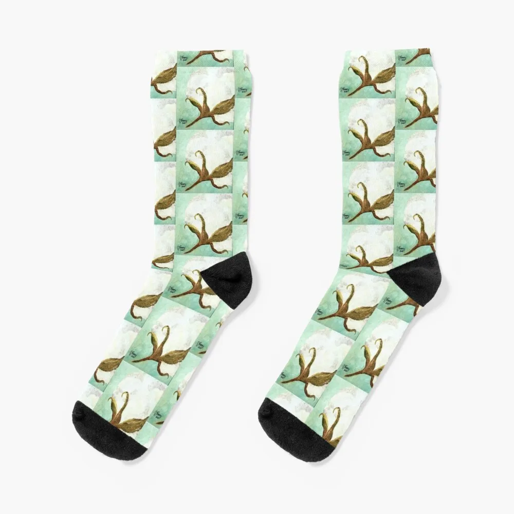 

Cotton Boll Socks Crazy Socks