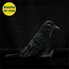 Realistic Corvus Corax High Fidelity Raven Plushie Crow Plush Toys Lifelike Animals Simulation Stuffed Doll Kawai Toy Gifts 3