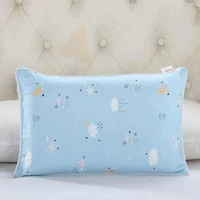 Cartoon Pattern Boys Girls Pillow Case 100% Cotton Side Zipper Baby Pillowcase Four Seasons Children's Pillow Dust Cover 2