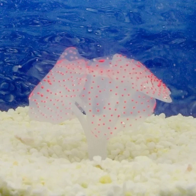 1 Pcs Colorful Silicone Artificial Fish Tank Aquarium Ornament Water Decor Plant Coral Purple Aquarium Decorations