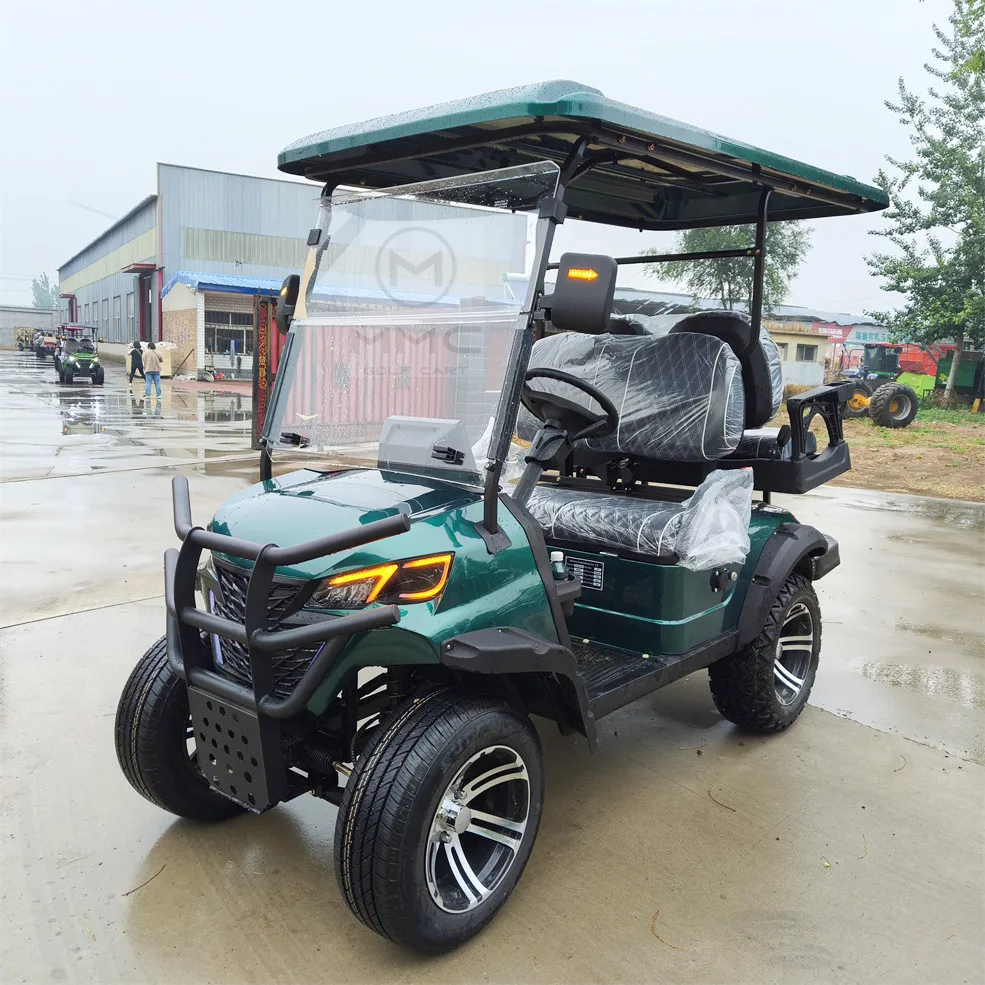 Electric Golf Cart Utility Vehicle 4 Wheels 48V 72V Lithium Battery Off-Road Adult Street