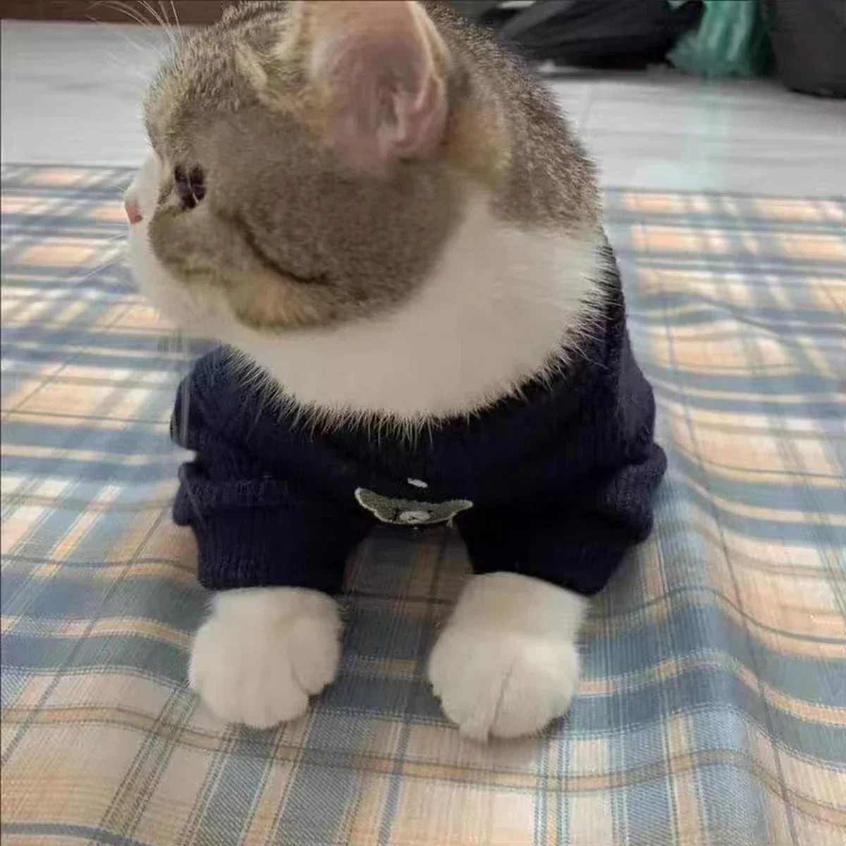 겨울 애완견 옷 고양이 개 옷, 개 양털 따뜻한 스웻셔츠, 소형 중형 대형견 재킷 의류, 애완동물 의상, 1 개