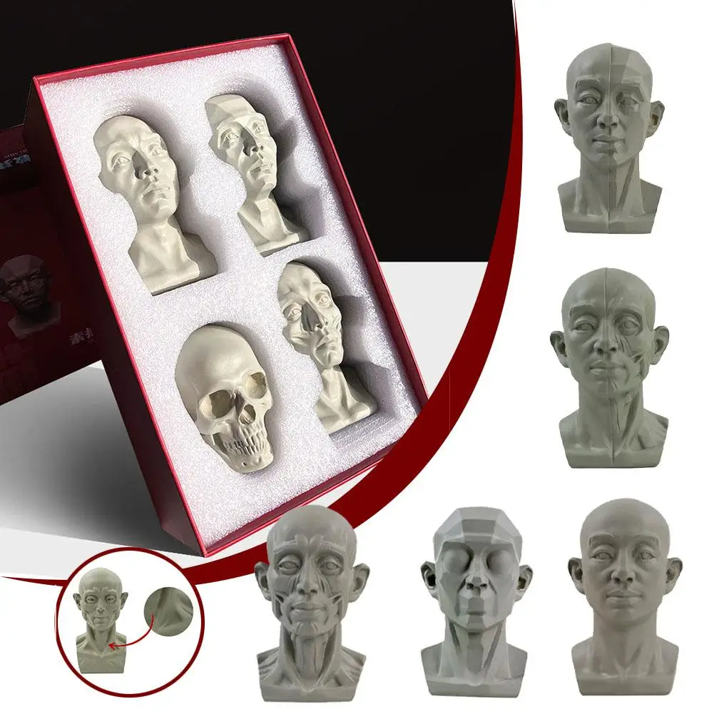 Art Plaster Portrait Teaching Aids Simulation Flat Head Plaster Portrait Practical Mini Version Resin Tool Sketch Learning - 3