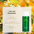 Osmanthus