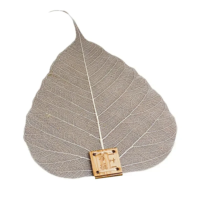 Tea Strainer Bodhi Leaf Tea Filter