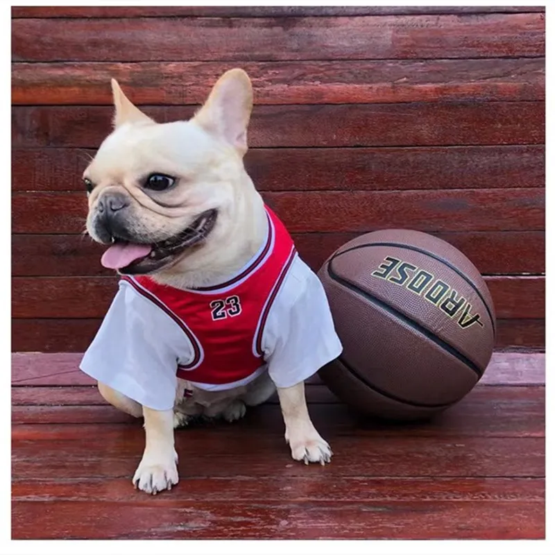 Dog Basketball Jersey Clothes Breathable T Shirt Dogs Costume Fashion  Clothes For Small Medium Dog, Check Out Today's Deals Now