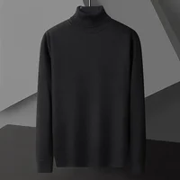 Men's Casual Slim Fit Basic Tops Long Sleeve Knitted Streetwear Lightweight Turtleneck Pullover Sweater Solid Color Sweater Men 2