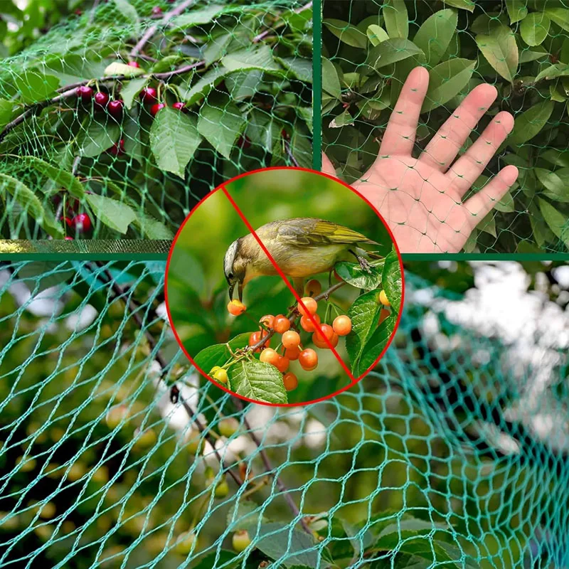 Bird Netting For Garden - 4m X 10m, Durable Nylon Mesh To Protect Fruit Trees, Vegetables & Ponds From Birds & Pests