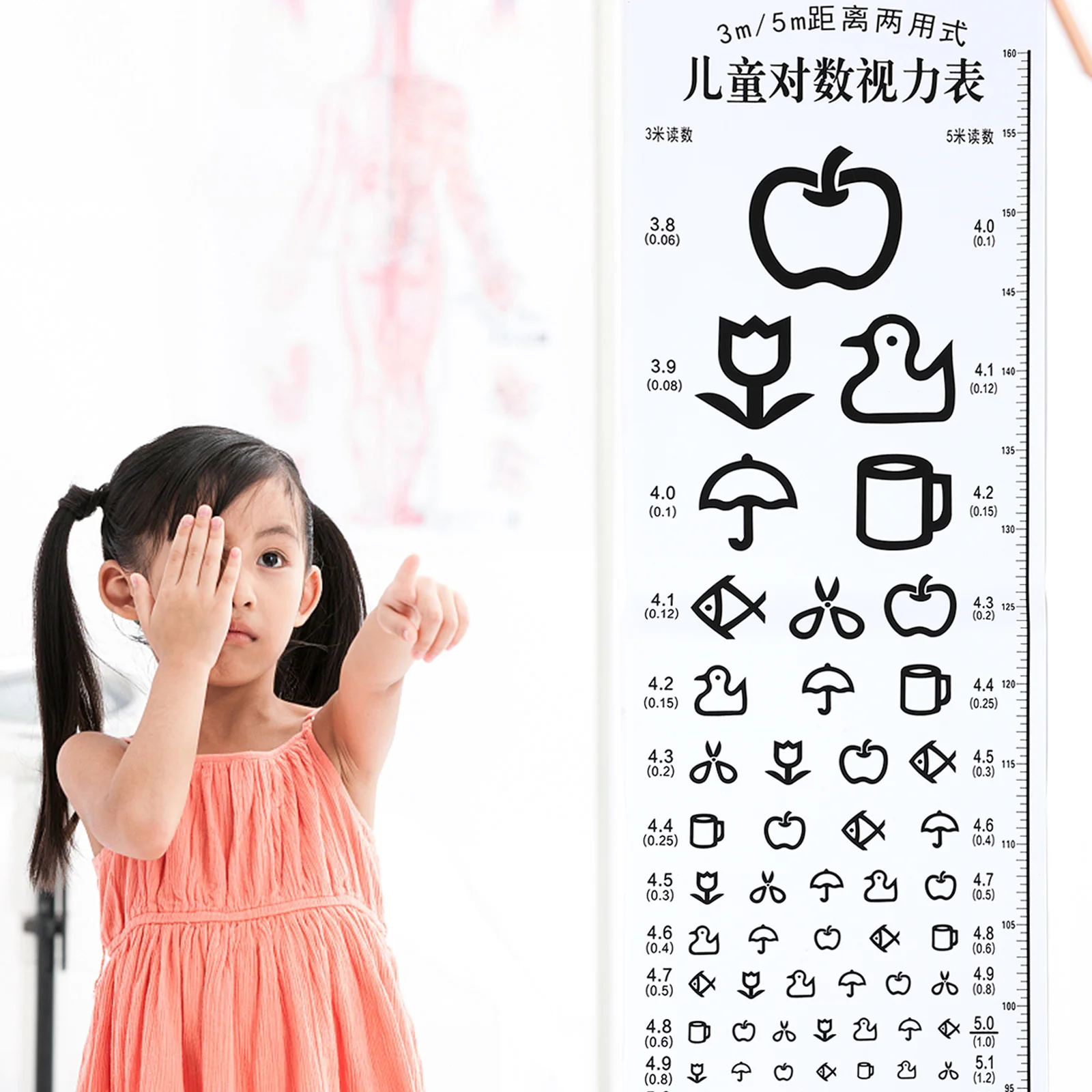 Chart Eye Vision Visual Exam Kids Snellen Color Test Distancetesting Charts Poster Occluder Acuity Wall Pocket Set Kindergarten