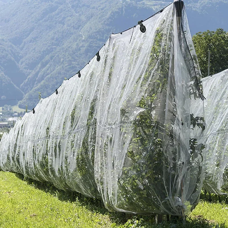 Slide image 7c97ad8d55564500be698b15d5876c12