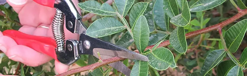 Gardening Hand Pruner Garden Scissors Pruning Shears Micro-Tip Pruning Snips Leaf Trimmer Straight Florist Scissor For Plants
