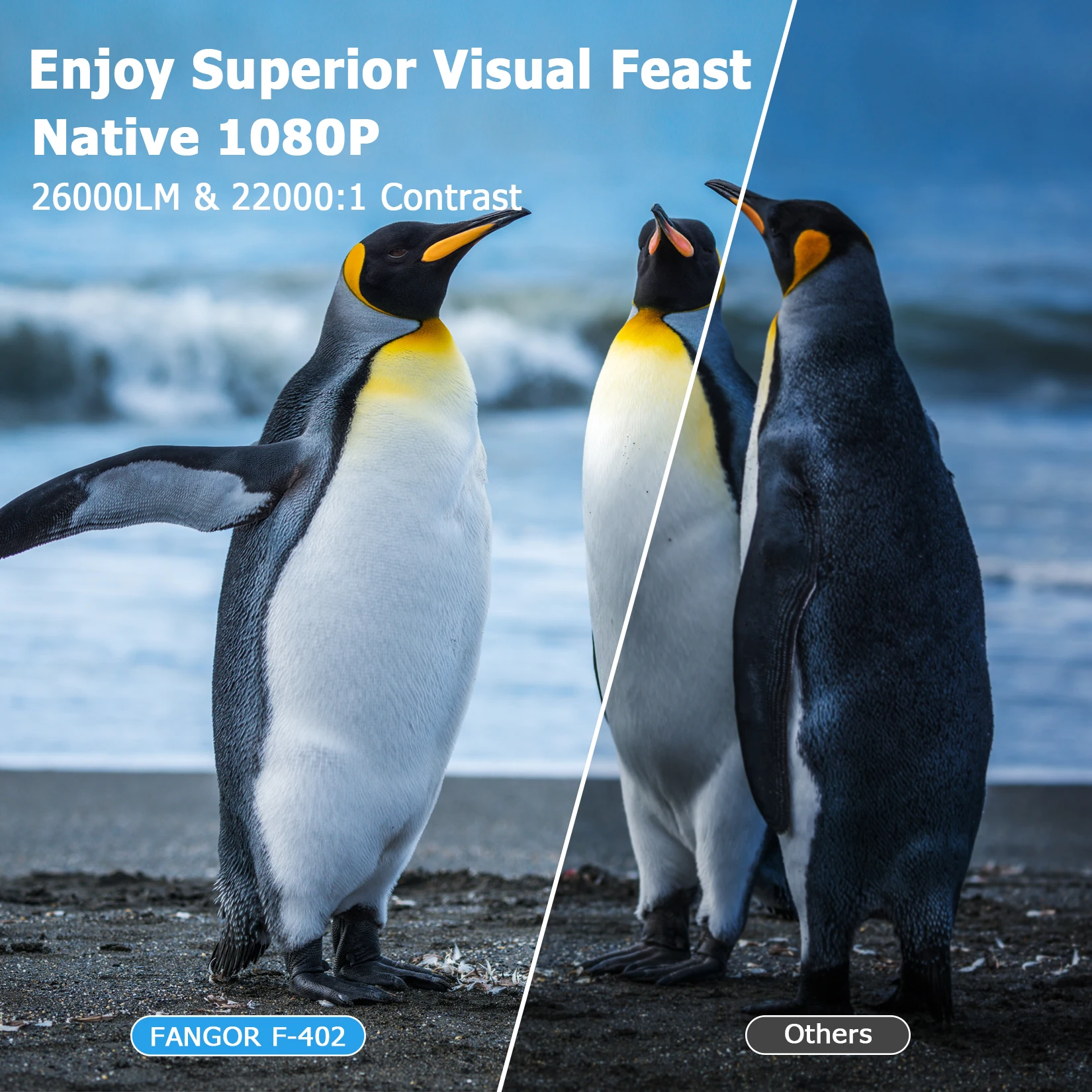 FANGOR 1600 Ansi 4K Projector Supported with Screen Full HD 1920*1080P Native Dolby Audio Home Theater Beamer Wifi proyector