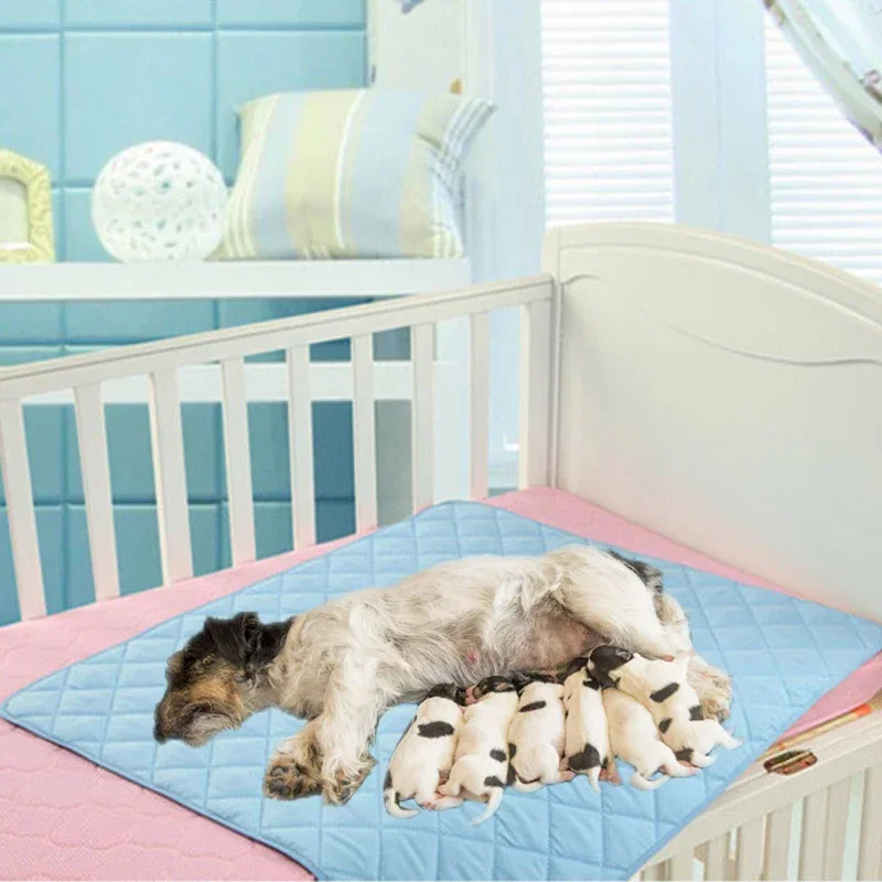 Large Size Reusable 3 Layers Pet Diaper Pads Pee Quickdry Waterproof for Cats Dog Pet Puerpera Mat Sheet Protector Supplies Large Size Reusable 3 Layers Pet Diaper Pads Pee Quickdry Waterproof for Cats Dog Pet Puerpera Mat Sheet Protector Supplies