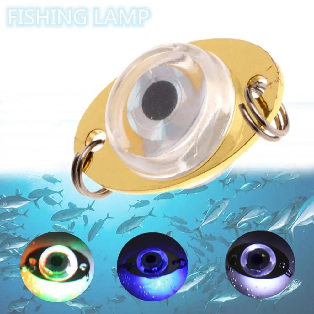 LED Fish Lamp Mini Fishing Lure Light LED Deep Drop Underwater Eye Shape Fishing Squid Fishing Bait Luminous Lure Wholesale