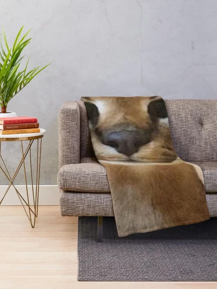 Zabloing Floppa ������ ���, ���� �̺�, ��� ���� ���, ���� ħ��