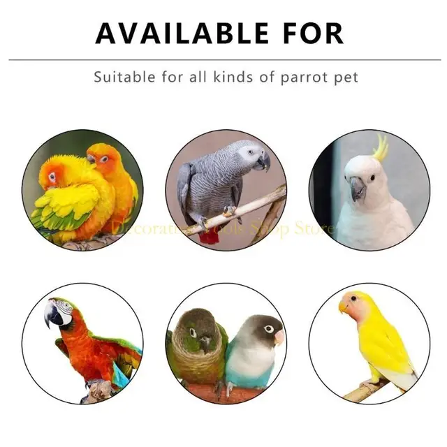 QX2E Adjustable Parrot Vest Flying Suit Soft Vests Bird Flying Accessory Easy to Use for Pet Birds Accessories 3