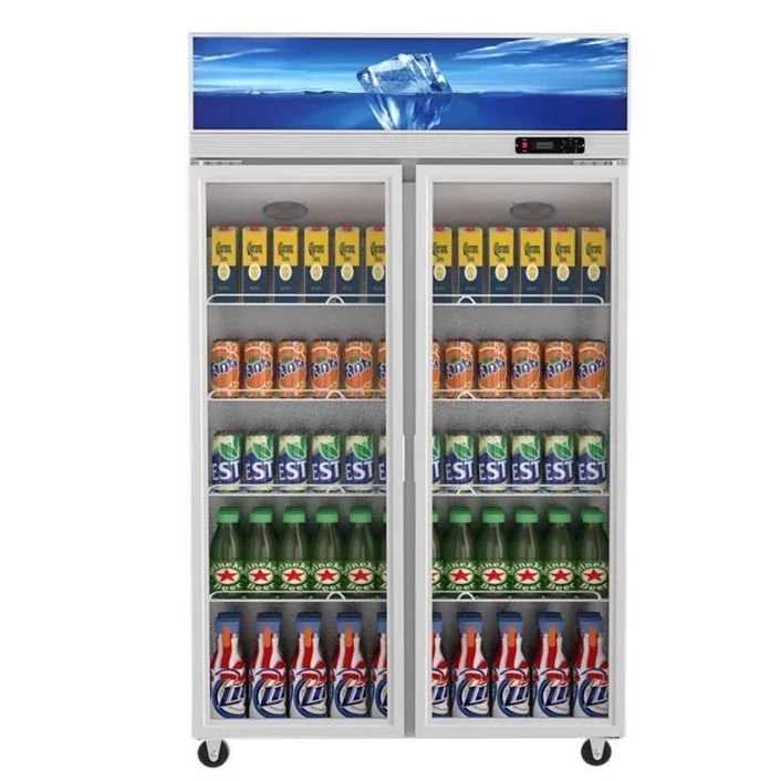Drink Vertical 2 Door Commercial Refrigerator Display Cooler Freezers Commercial Display Cooler