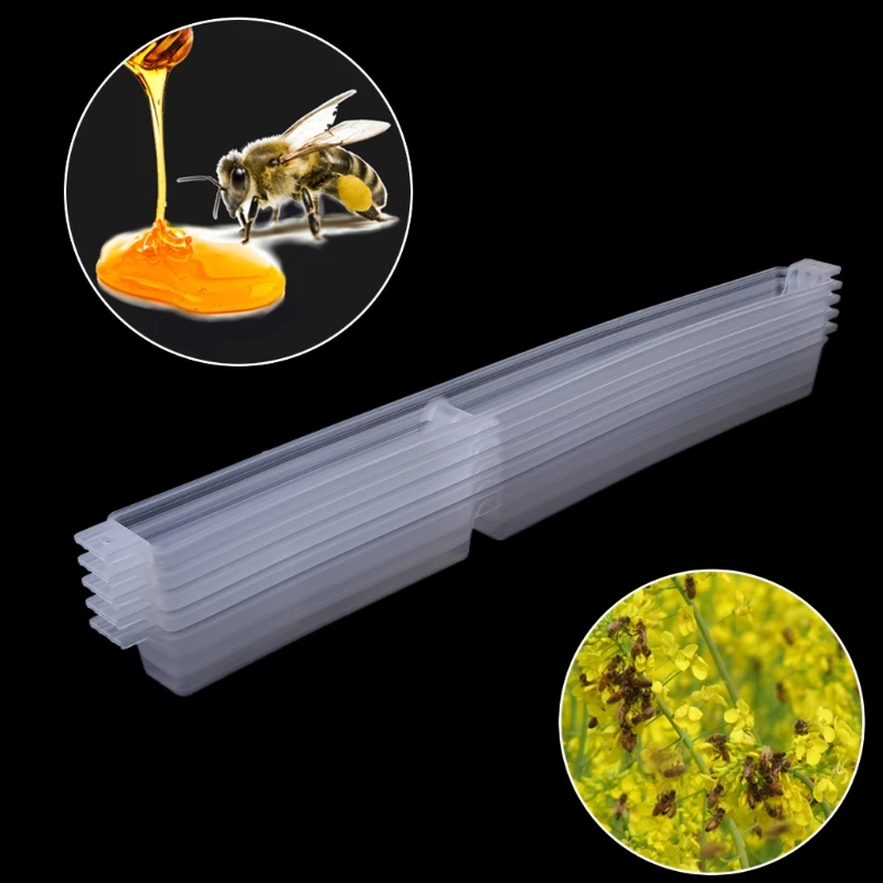 367A Set of 5 Feeder Thickening Reinforcement Plastic Beekeeping Sugar Feeder Beekeeper Gadgets Beekeeping beekeeping tools,beekeeping accessories