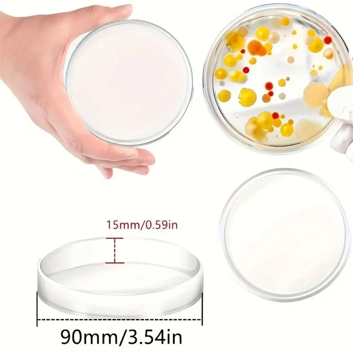 A10R 1세트 과학 연구실, 미생물 집락 관찰 실험, 일회용 페트리 접시(agar 미포함)
