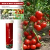 100g Gardening Universal Slow-Release Tablet Organic Potassium Fertilizer Slow Plant Phosphorus Flowers Agent Nitrogen Rele 1