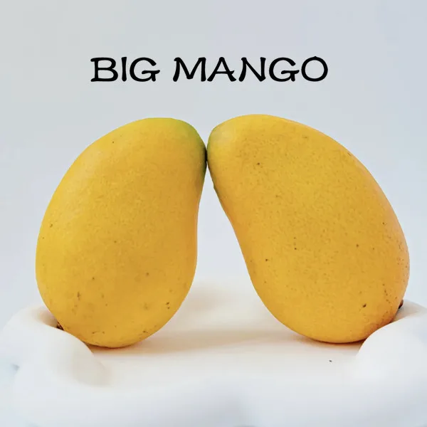 Big Mango Store
