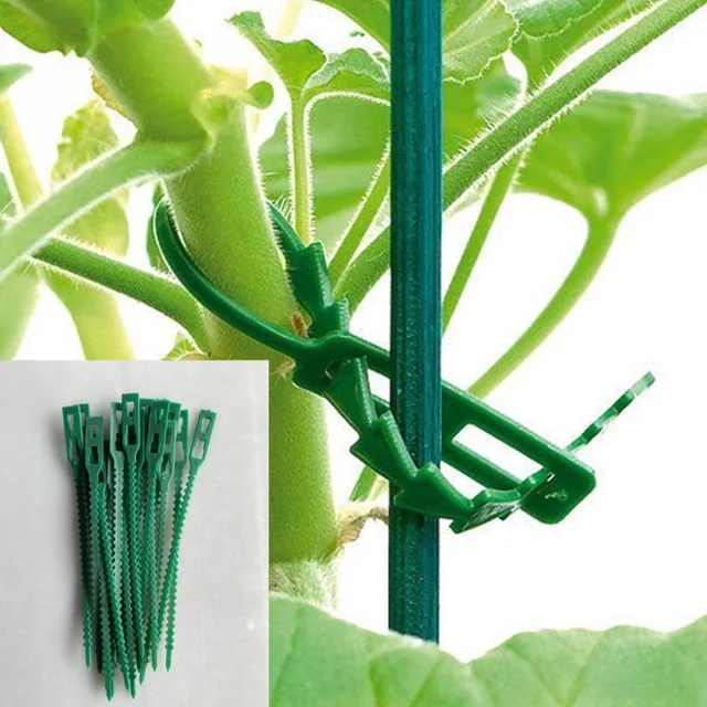 Újrafelhasználható 13,5/17,5 Cm Műanyag Növényi Tartó Klipek Bilincsek Növénytámogató Cserjék Rögzítőfa Reteszelő Nylon Állítható - Image 3