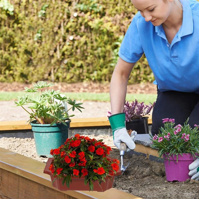 Virágtermesztés Téglalap Alakú Ablak Zamatos Fa Ültetvények Vízelvezető Edény Ültetvény Bonsai Edények Kert Edzőtartály - Image 5