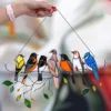 7 birds