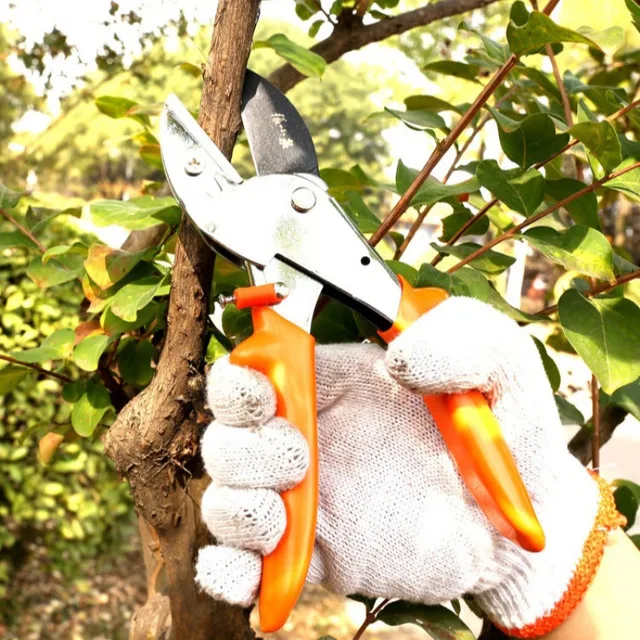 Sk5 Acélkert Prunin Secateurs Metsző Ollóval Fogantyúk Kertészeti Olló Bonsai Cutters Szerszám - Image 2