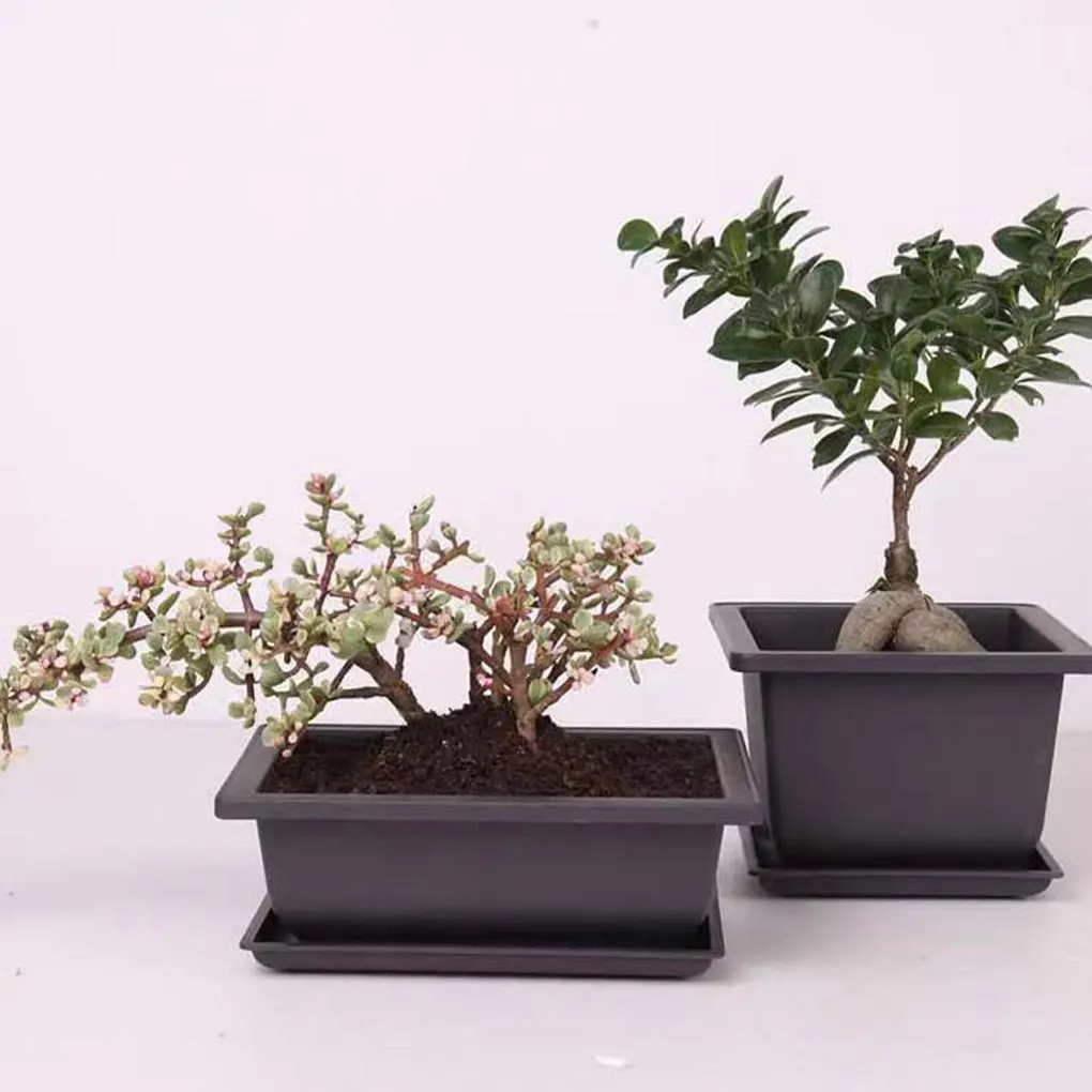 Breathable Imitation Purple Sand Desktop Planting Pot for Bonsai and Succulents