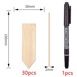 Eco - Friendly Bamboo Plant Labels with Marker Pen - Reusable Waterproof Garden Tags for Vegetables, Flowers, and Seedlings (15/30pcs) (31pcs - Z20)