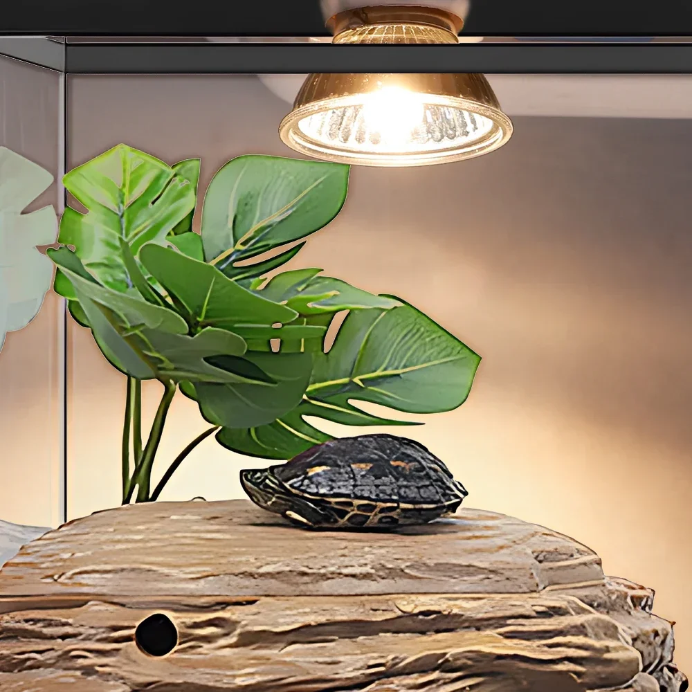 25/50/75W UVB Reptile Lamp Bulb Tortoise Basking UV E27 Bulbs Amphibians Pet Snake Lizard Heating Sunlamp Calcium Supplement 4