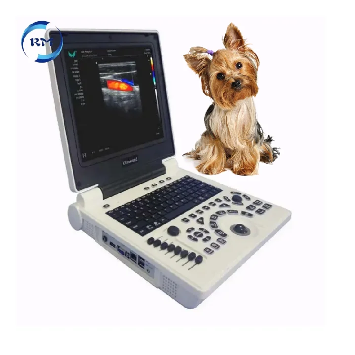 

Hot sale factory price Manufacture Full Digital Laptop Portable Ultrasound Machine Veterinary Pet Vet for animal