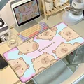 Capybara-14