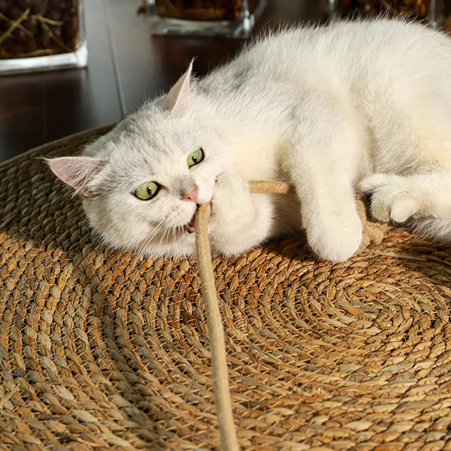 Mat Scratcher For Cats 2